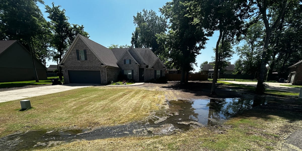 Ark. homeowner says rain has brought river of sewage to her yard for more than 2 years, but officials won’t fix it