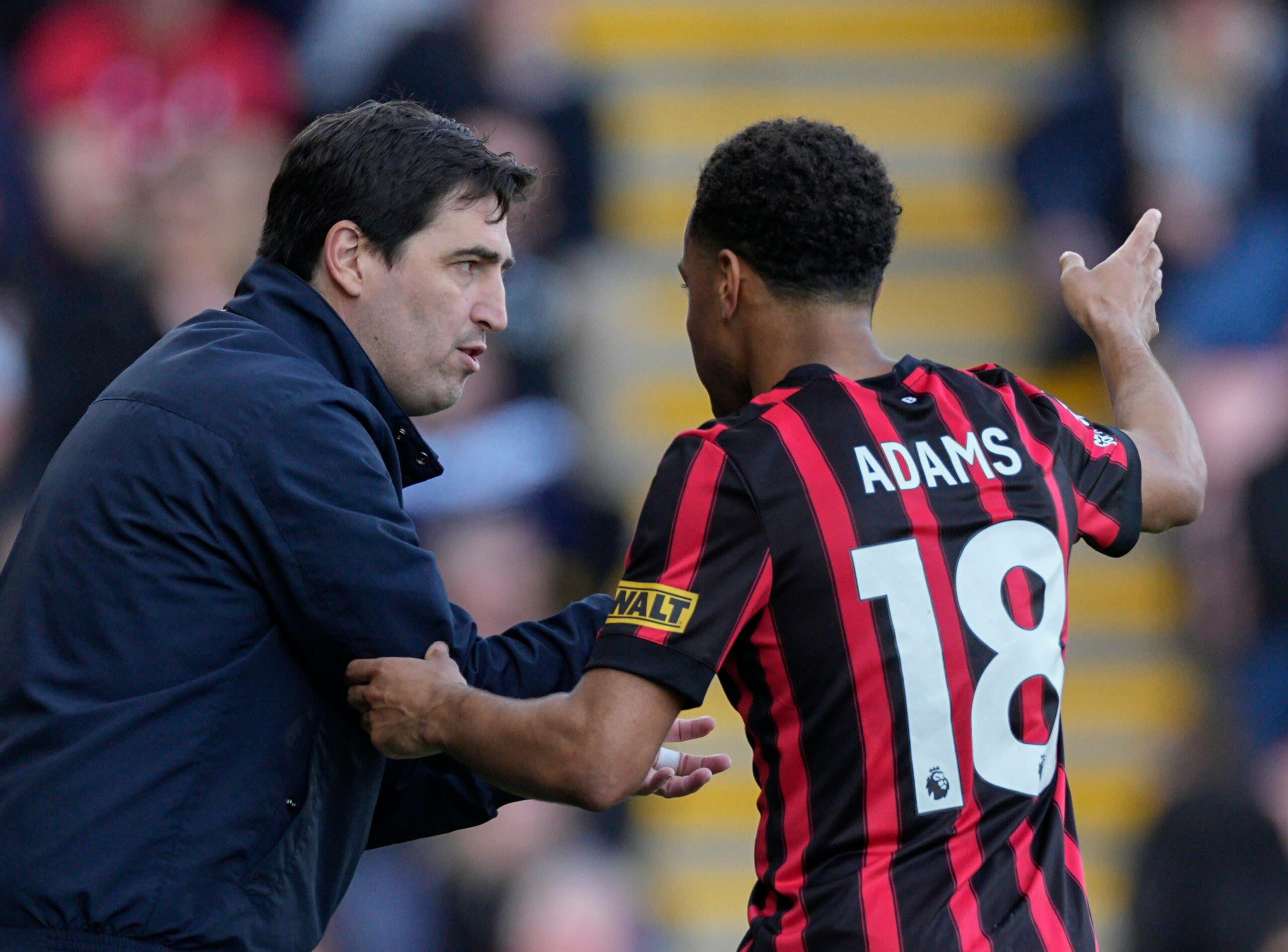 Bournemouth’s £20m Star Adams Faces Lengthy Layoff