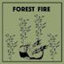 Forest Fire