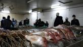 Maduro prevé un crecimiento de la pesca y la exportación de productos del mar