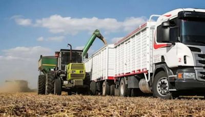 Pocos dólares: productores no liquidan la cosecha gruesa como se esperaba y preocupan al Gobierno