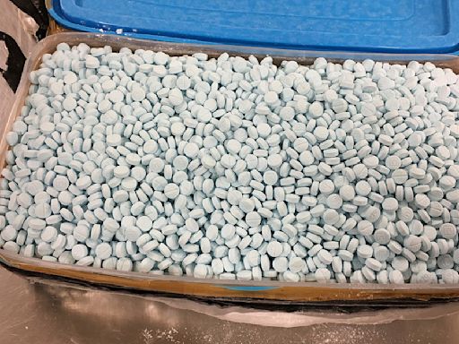Descubren más de 300,000 pastillas de fentanilo en Jalisco gracias a una llamada anónima - La Opinión