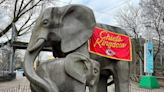 Cheesesteaks, art, elephants in Chiefs gear: How KC’s Super Bowl wagers with Philly ended