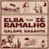 Galope Rasante