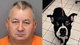 Man arrested after newly adopted dog found decapitated