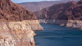 More than half of water from Colorado River used for agriculture industry, report finds