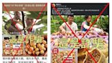 雲縣府農業處籲消費者注意 杜絕一頁式農產品詐騙廣告
