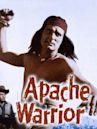 Apache Warrior