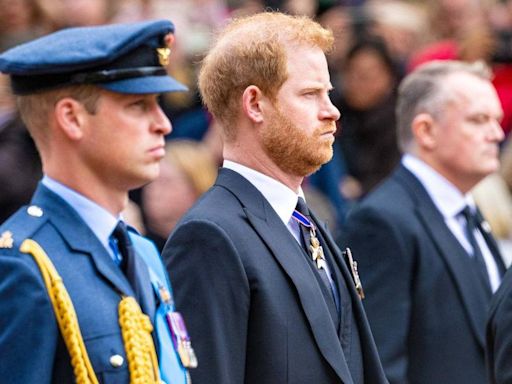 Prince Harry Awkwardly Tagged as Prince William in Instagram Post Amid Public Feud