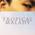 Tropical Malady