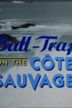 Ball Trap on the Cote Sauvage