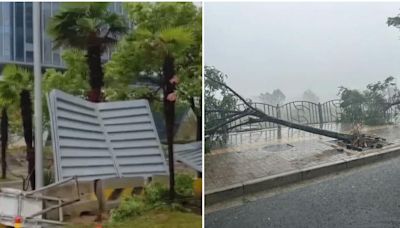 中秋前夕.颱風「貝碧佳」襲滬 海陸空交通停擺