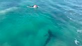 Watch: Shark sends top surfers to shore at legendary contest site