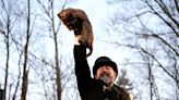 Canadian groundhog Fred la marmotte found dead before Groundhog Day