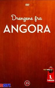 Drengene fra Angora