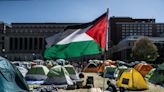 More than 125 arrested at four Virginia universities amid nationwide protest over Israel-Hamas war