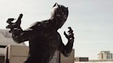 The Black Panther’s Origins