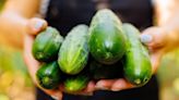 Store cucumbers combining two simple methods to keep them fresh for weeks