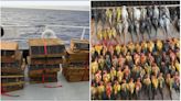 Acusan a cuatro hombres de traficar aves tropicales desde Puerto Rico: las tiraron al mar tras ser descubiertos