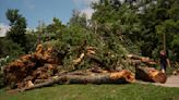 'LG&E knows us well.' | Cleanup underway in Anchorage neighborhood slammed by storms