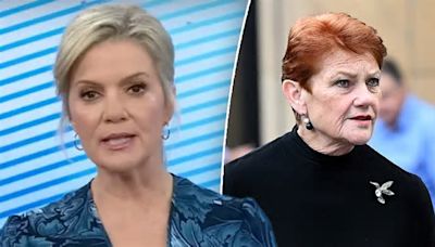 Sandra Sully mortified after accidentally reporting Pauline Hanson is battling claims she is a 'rapist' amid hate speech court battle