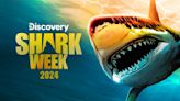 Shark Week Starts Sunday! Here's When All The Shows Will Air