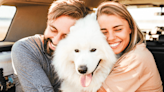 The Golden Opportunity You Cannot Miss When Your Partner Is A Dog-Lover