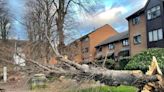 Storm Henk batters UK - as 94mph gusts cause widespread disruption and damage