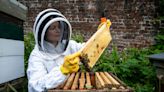 The inside story of the Glasgow hospice housing up to 100,000 bees