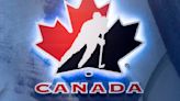 Hockey Canada hires Irfan Chaudhry as first-ever VP of diversity, inclusion