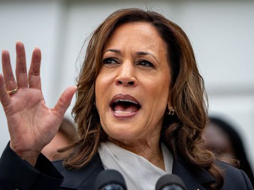Kamala Harris has energized Democratic voters. But can she expand the map?
