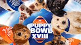 The ‘Puppy Bowl’ is issuing NFTs