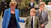 Princess Diana Would Be "Absolutely Distraught" Over the State of Prince William and Prince Harry's Relationship, Expert Claims