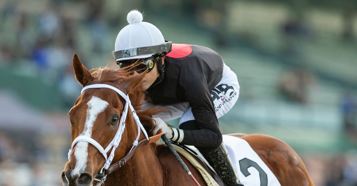 The Chosen Vron Seeks 16th Stakes Win In Saturday’s Kona Gold