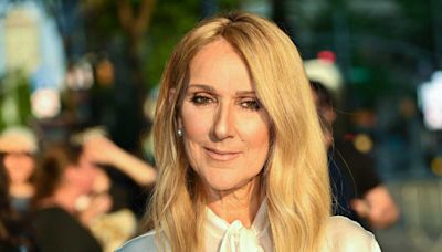 Céline Dion : l'IHU de Montpellier lance un appel à l'aide pour trouver un traitement à la star