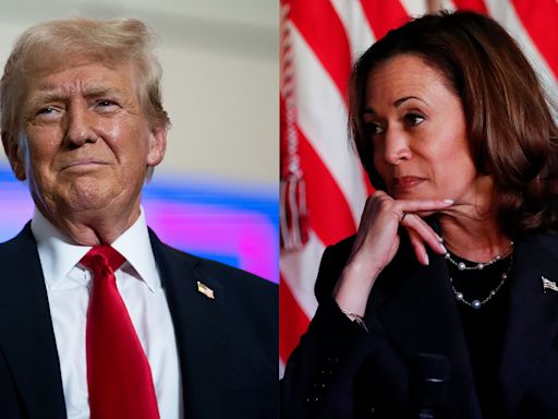 Trump Backs Out of Harris Debate on ABC News, Agrees to One on Fox News