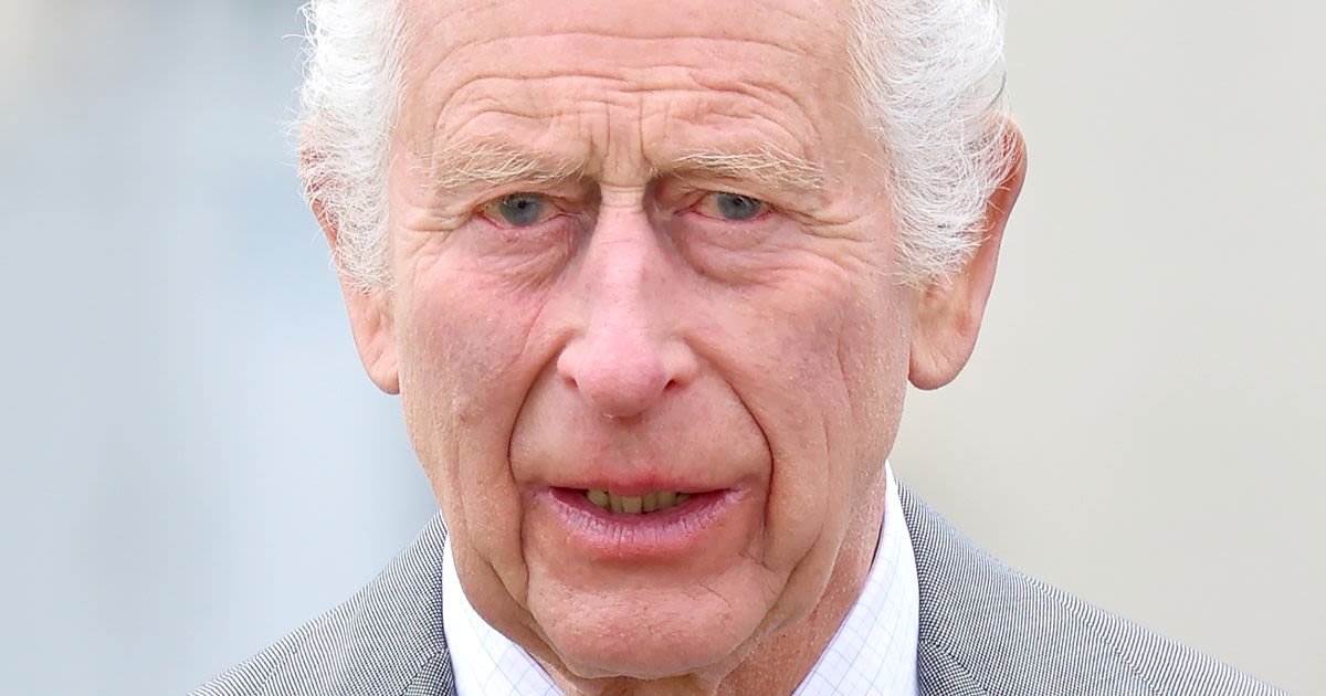 Charles’ portrait divides fans who ask 'what in fiery depths of hell is this'