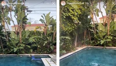 Erika Jayne's Unexpected Backyard Saga's New Twist: “What Is Going on In This F-cking Pool?” | Bravo TV Official Site