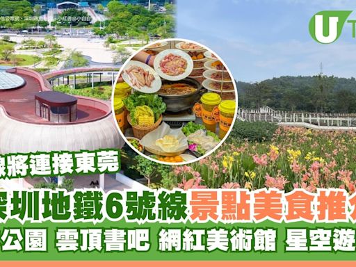 深圳地鐵6號線景點｜直達光明區沿線景點美食逾10大推介 森林公園/雲頂書吧/網紅美術館 | U Travel 旅遊資訊網站