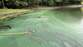 Montgomery County warns of harmful algae outbreaks in Lake Needwood, Lake Frank