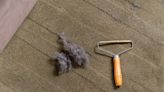 Just how clean are your carpets? This clever £3.99 tool is a 'game changer' for getting rid of hair and dust