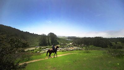 New report causes stampede of fear for coastal horse community