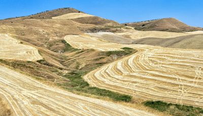 ‘An entire region on its knees’: Italian politicians demand intervention as drought grips the south