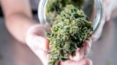 El consumo lúdico del cannabis obtiene luz verde en Alemania: ‘Sale de la zona tabú’