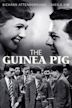 The Guinea Pig (film)