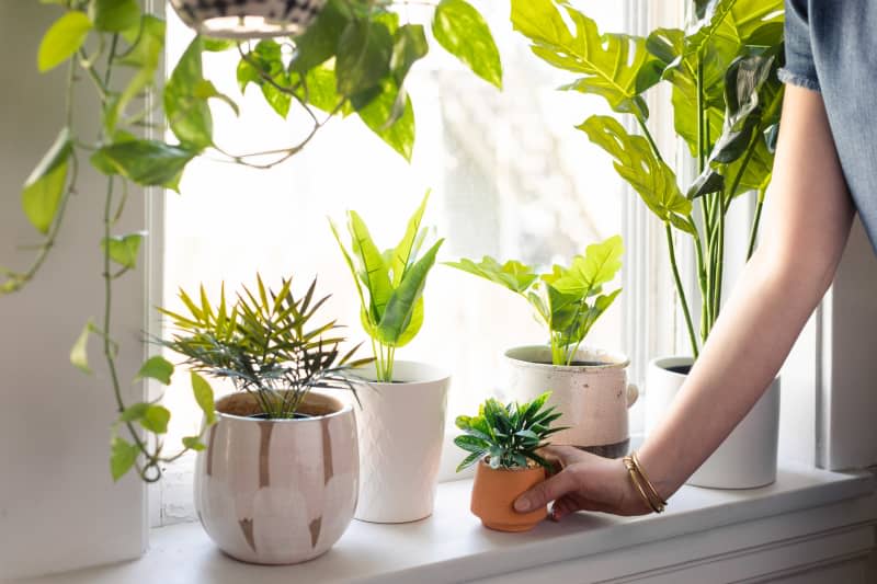 This Clever Hack Creates Instant Storage Space With a Planter and a Pizza Pan