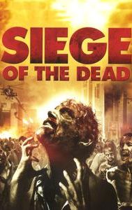 Siege of the Dead