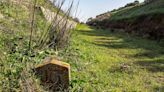 Un paseo por la Vía Verde entre la Estación de El Rizo y Jédula