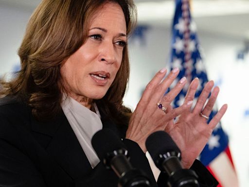 Harris Says She Knows 'Trump's Type' From Her Years As A Prosecutor