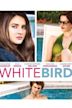 White Bird